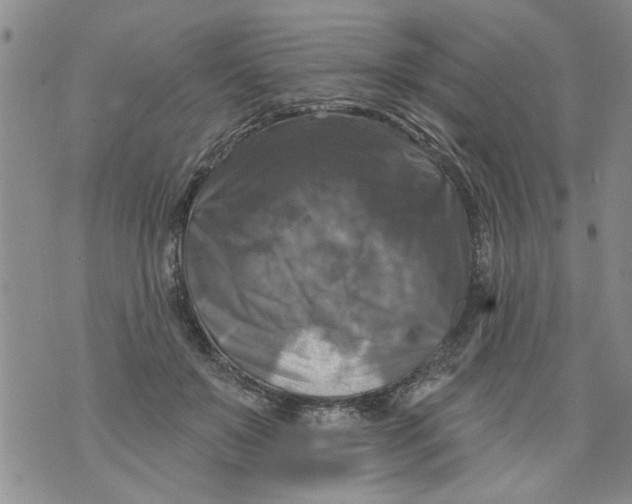 X0000073890503200609082126