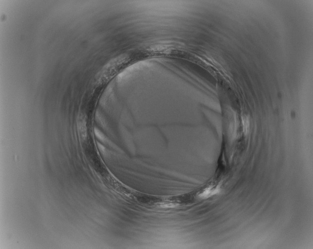 X0000073890504200609082126