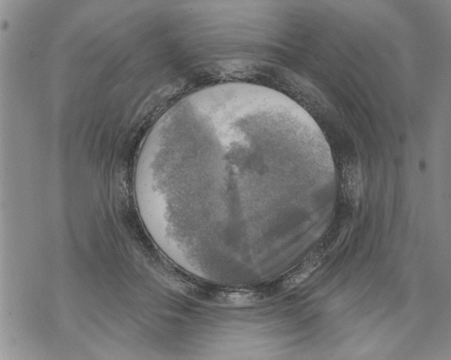 X0000073890506200609082126