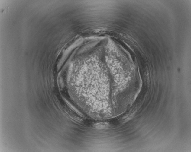 X0000073890508200609082126