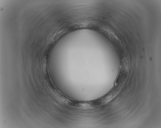 X0000073890509200609082126