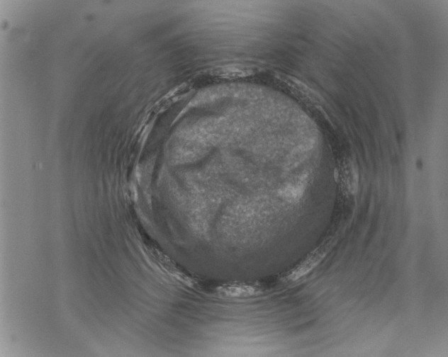 X0000073890512200609082126