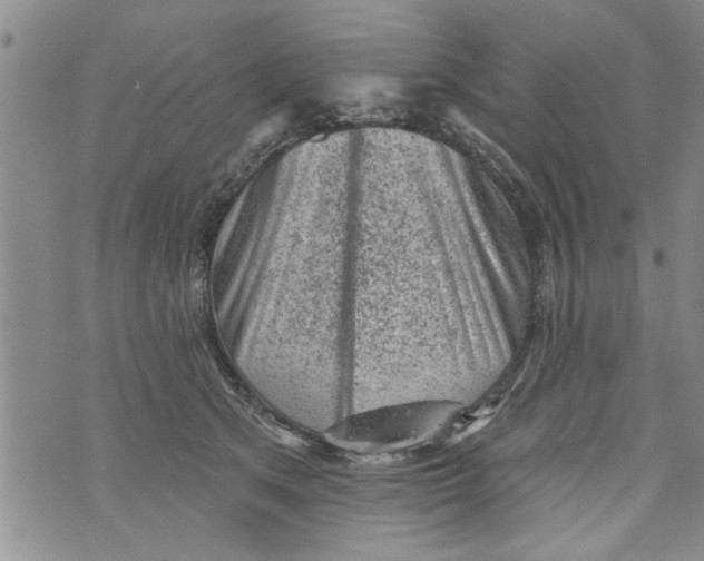 X0000073890513200609082126