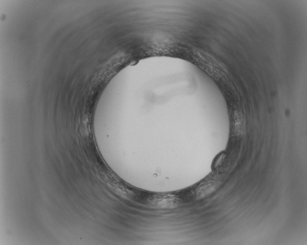 X0000073890514200609082126