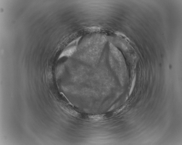 X0000073890516200609082126