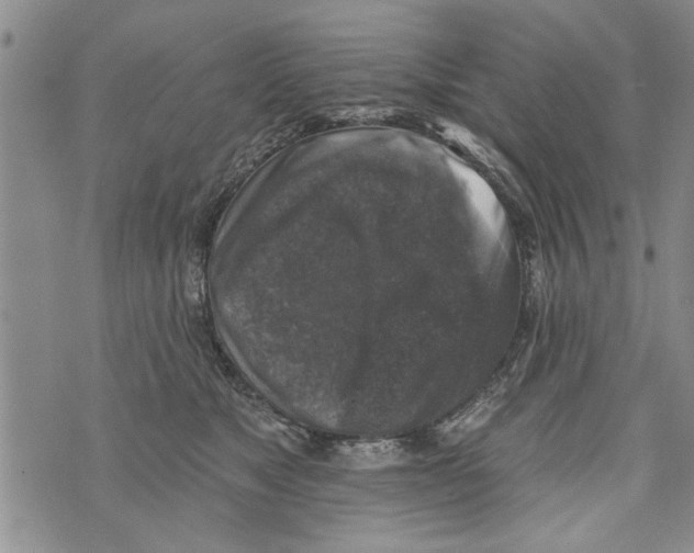 X0000073890517200609082126