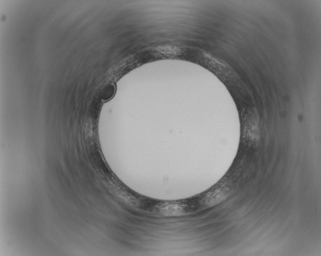 X0000073890518200609082126