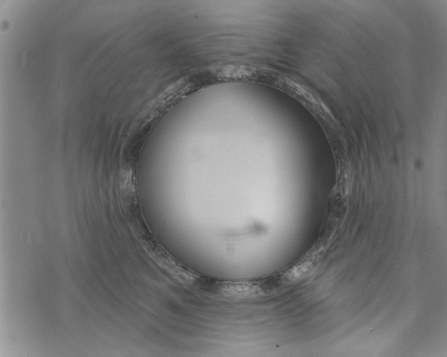 X0000073890521200609082126