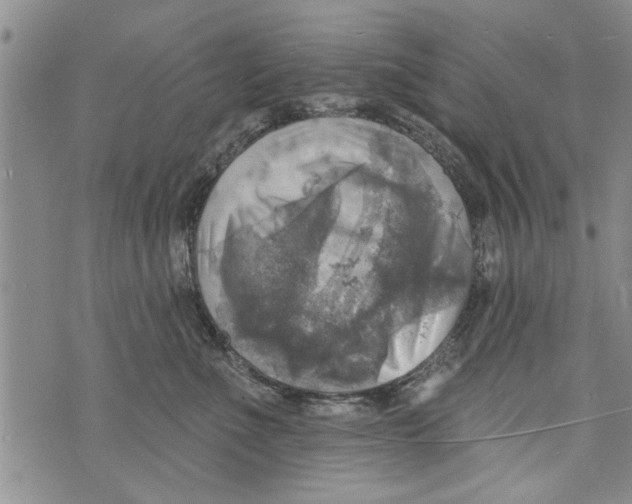 X0000073890523200609082126