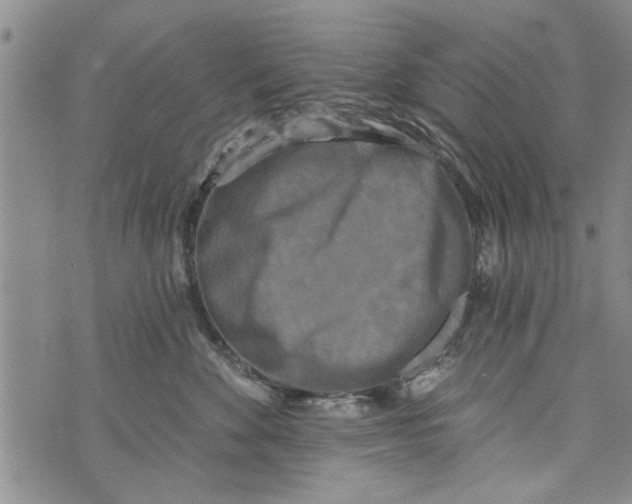 X0000073890524200609082126