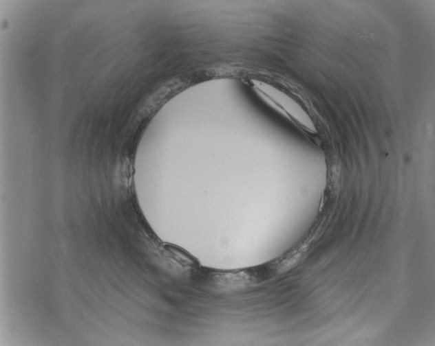 X0000073890525200609082126