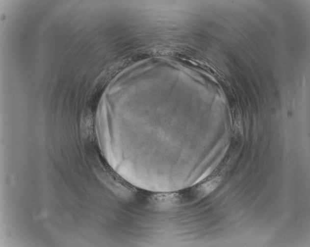 X0000073890526200609082126