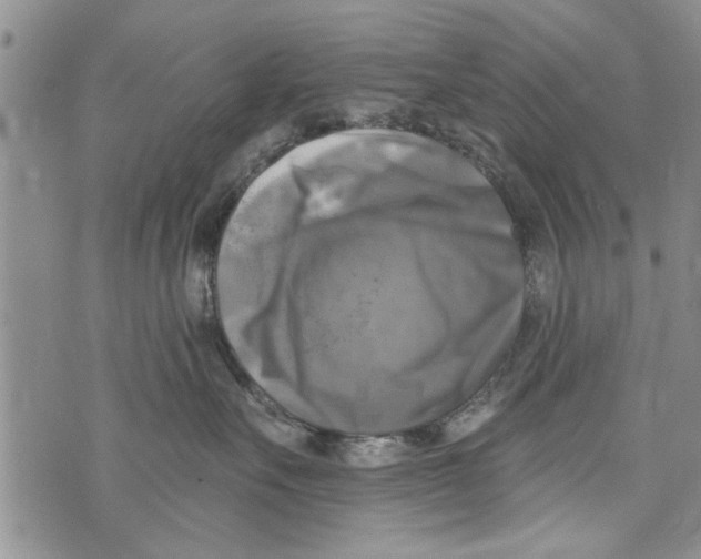 X0000073890527200609082126