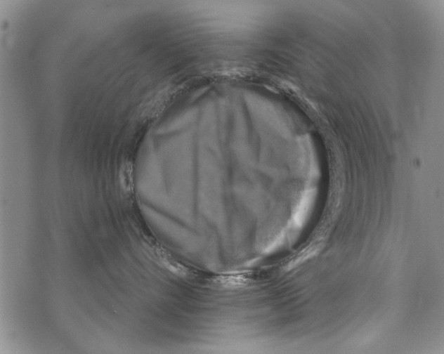 X0000073890528200609082126