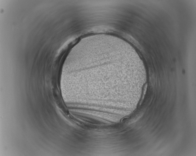 X0000073890530200609082125