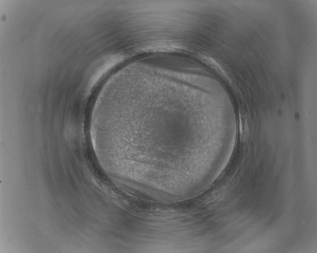 X0000073890531200609082125