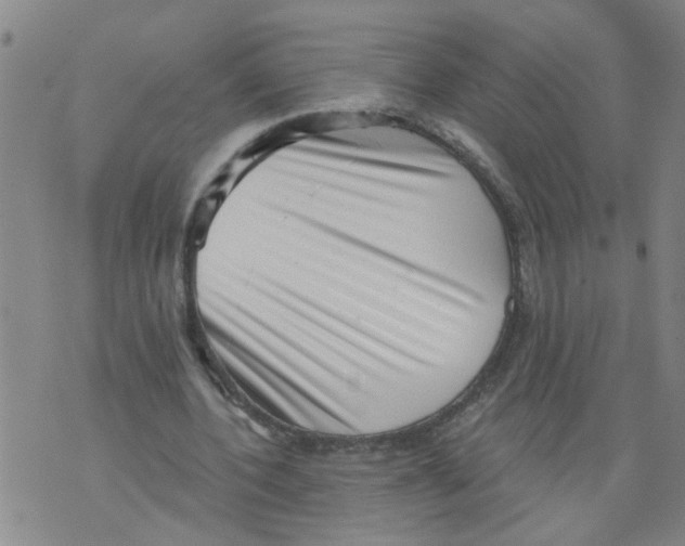 X0000073890532200609082125