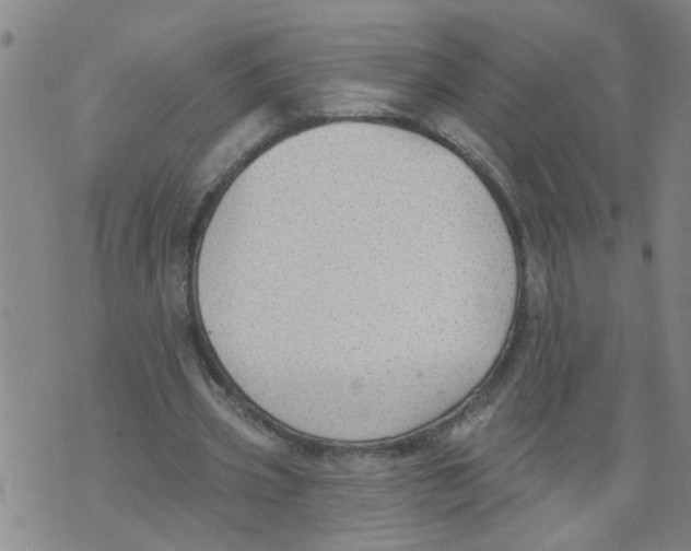 X0000073890533200609082125