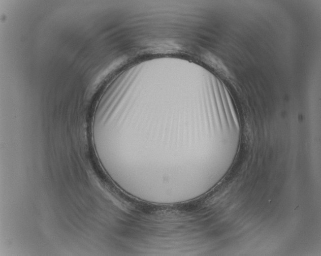 X0000073890535200609082125