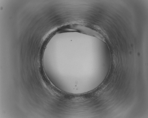 X0000073890536200609082125