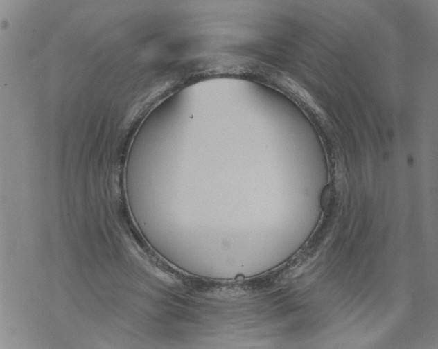 X0000073890537200609082125