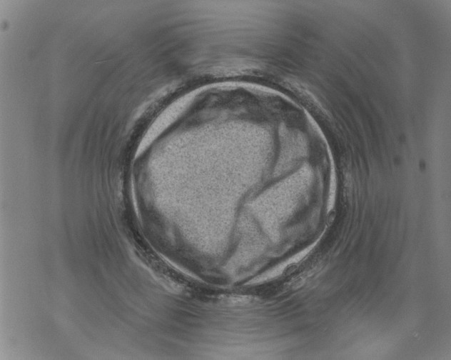 X0000073890539200609082125