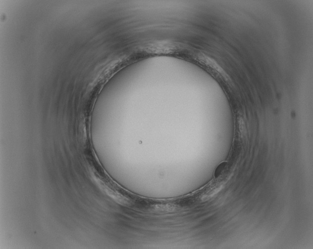 X0000073890541200609082125