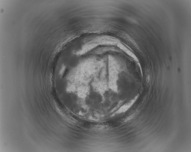 X0000073890542200609082125