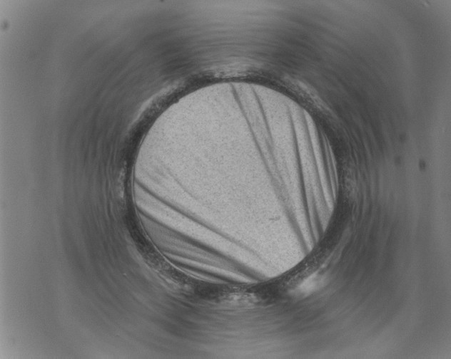 X0000073890543200609082125