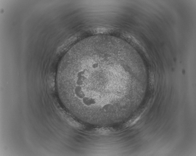 X0000073890545200609082125