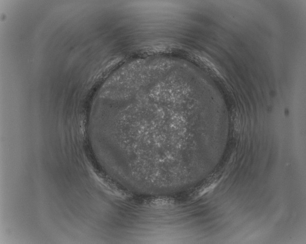 X0000073890546200609082125