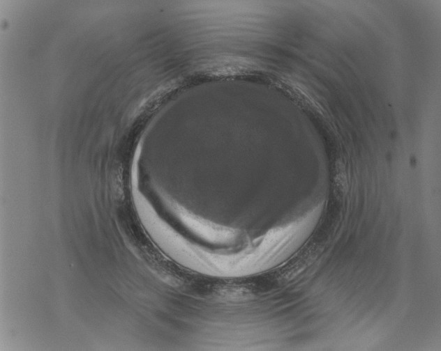 X0000073890547200609082125