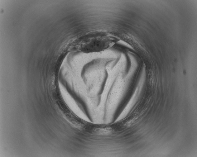 X0000073890548200609082125