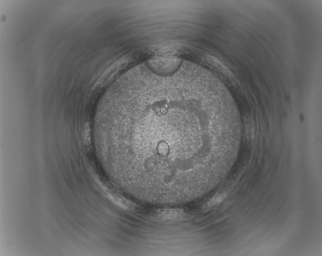 X0000073890549200609082125