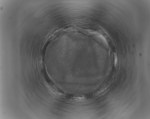 X0000073890552200609082125