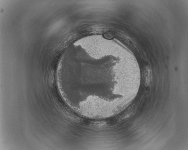 X0000073890554200609082125