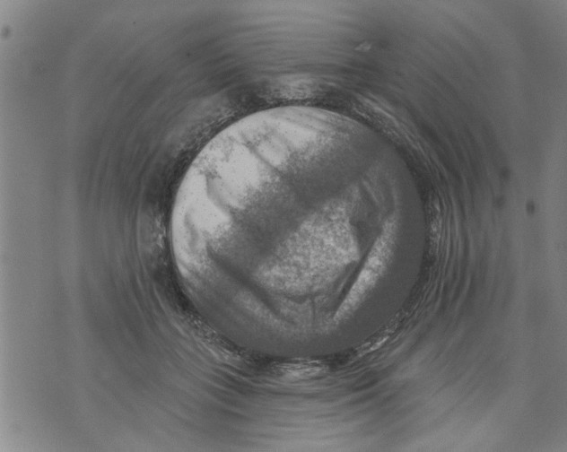 X0000073890555200609082125