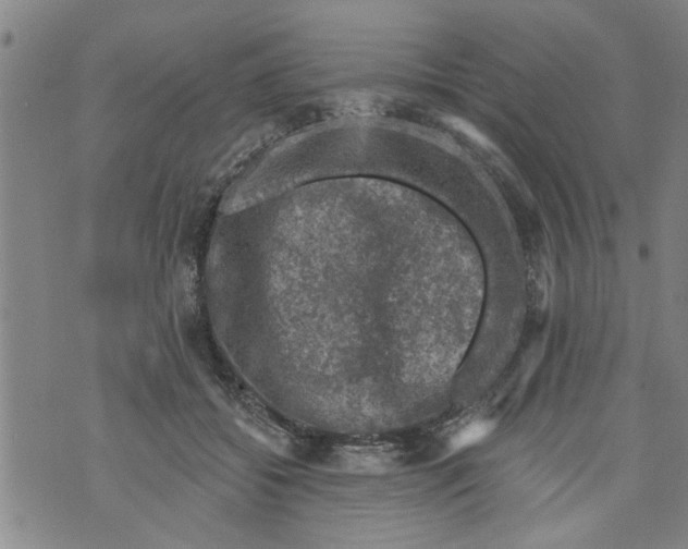 X0000073890556200609082125