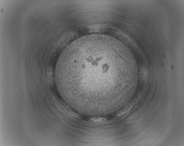 X0000073890557200609082126