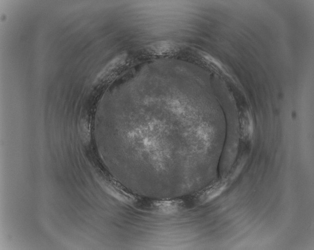 X0000073890558200609082126