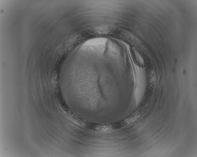 X0000073890559200609082126