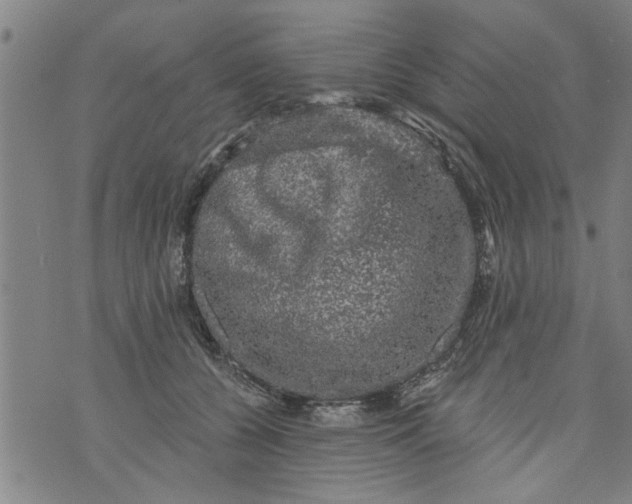 X0000073890560200609082126