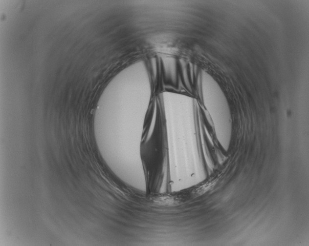 X0000073890562200609082126