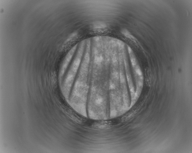 X0000073890563200609082126