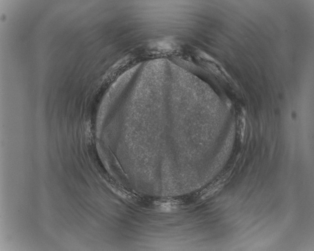 X0000073890564200609082126