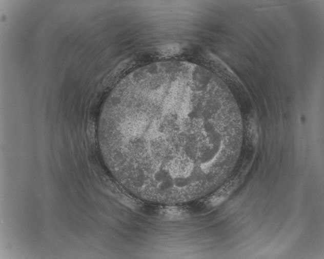 X0000073890565200609082126