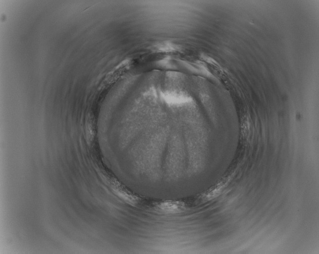 X0000073890566200609082126