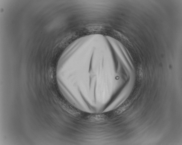 X0000073890567200609082126