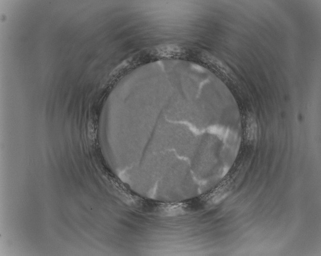 X0000073890569200609082126