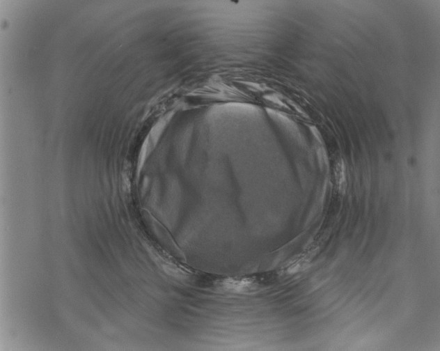 X0000073890570200609082126